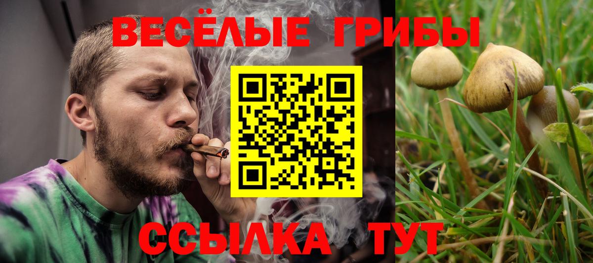 Дербент  Псилоцибиновые грибы Magic Shrooms  Вход с VPN  Галлюциногенные грибы Cubensis 